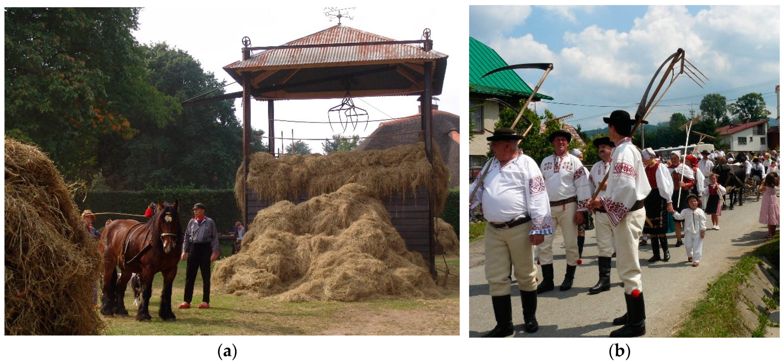 Sustainability 11 05581 g006