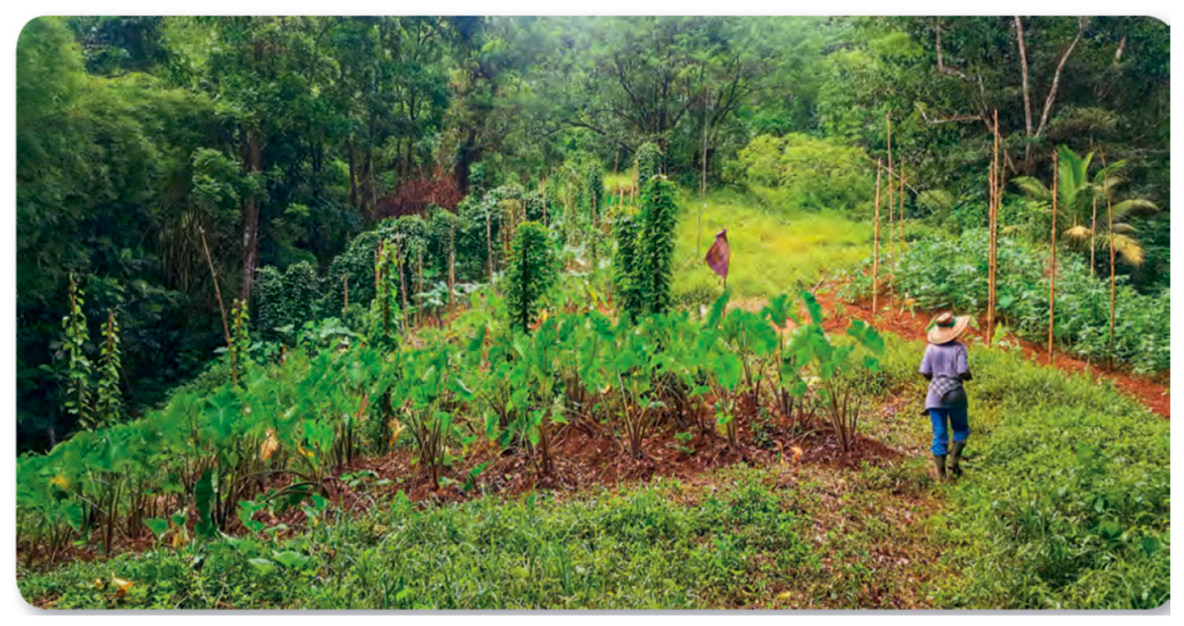Sustainability 11 05680 g001