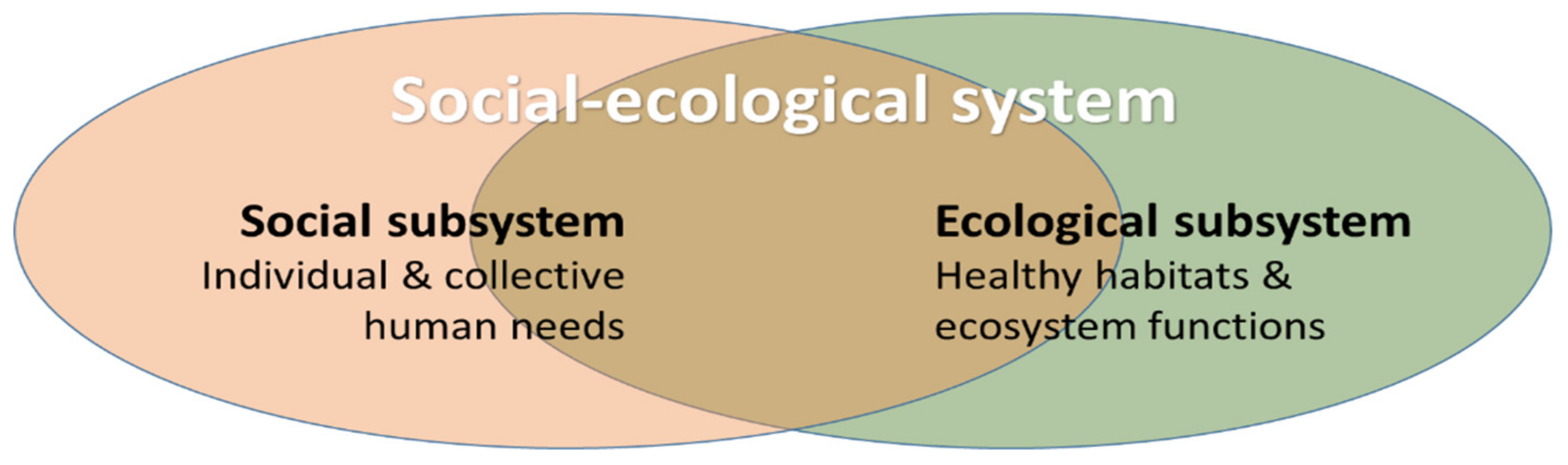 Sustainability 11 05705 g001 Sustainability 11 05705 g001