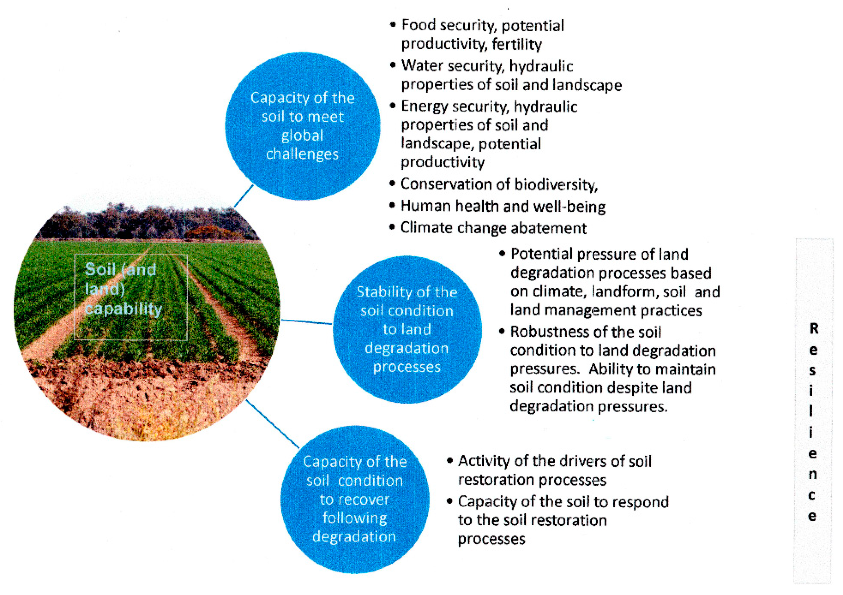 Sustainability 11 05706 g001