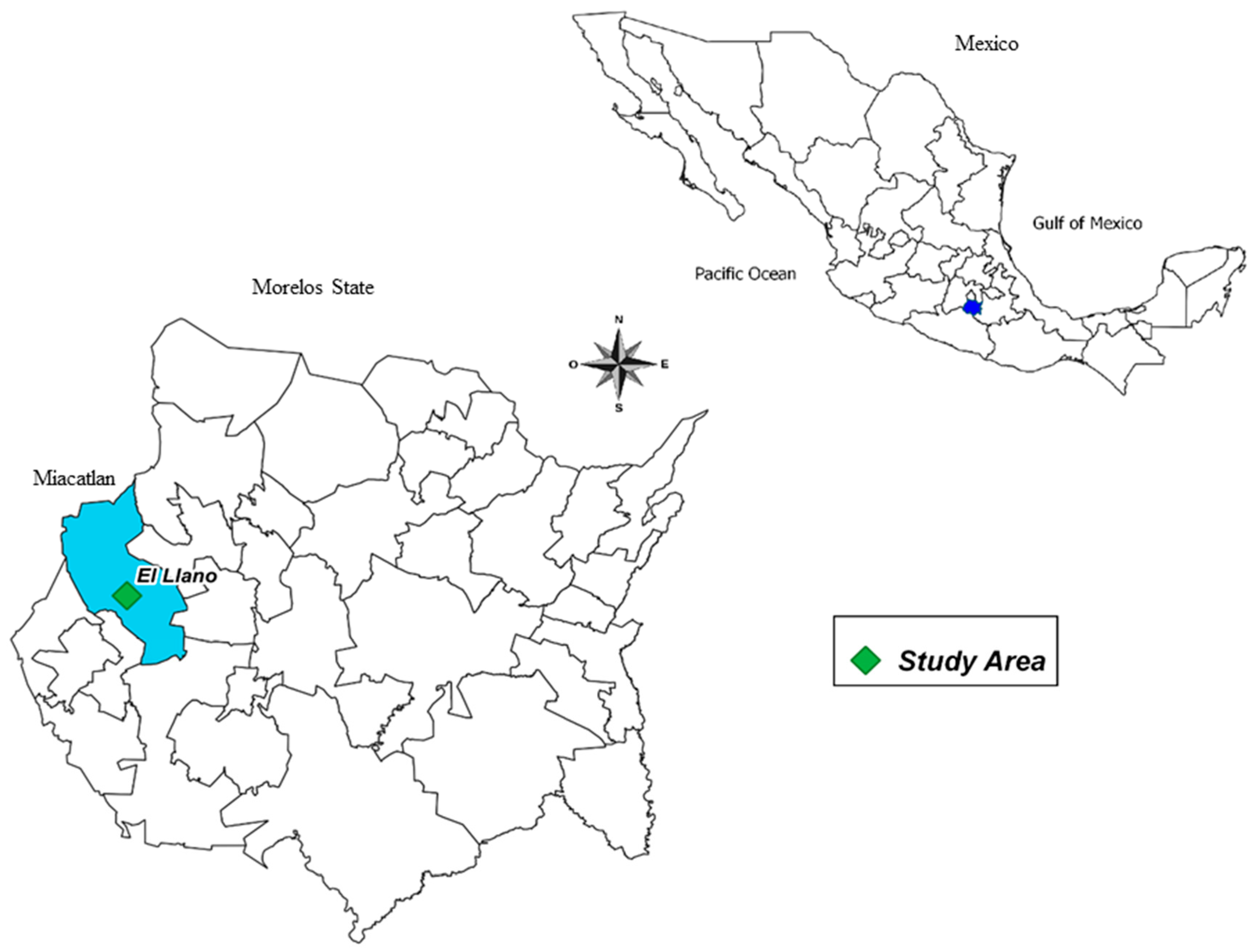 Sustainability 11 05823 g001