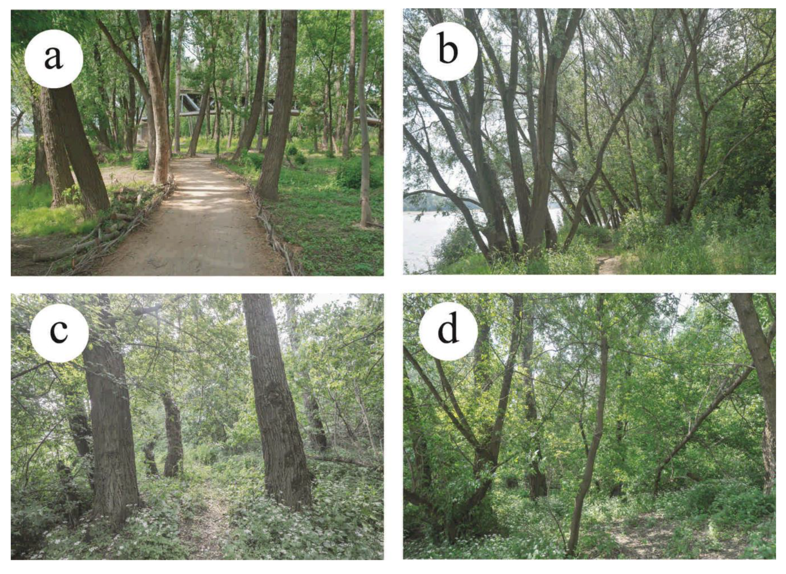 Sustainability 11 05838 g002