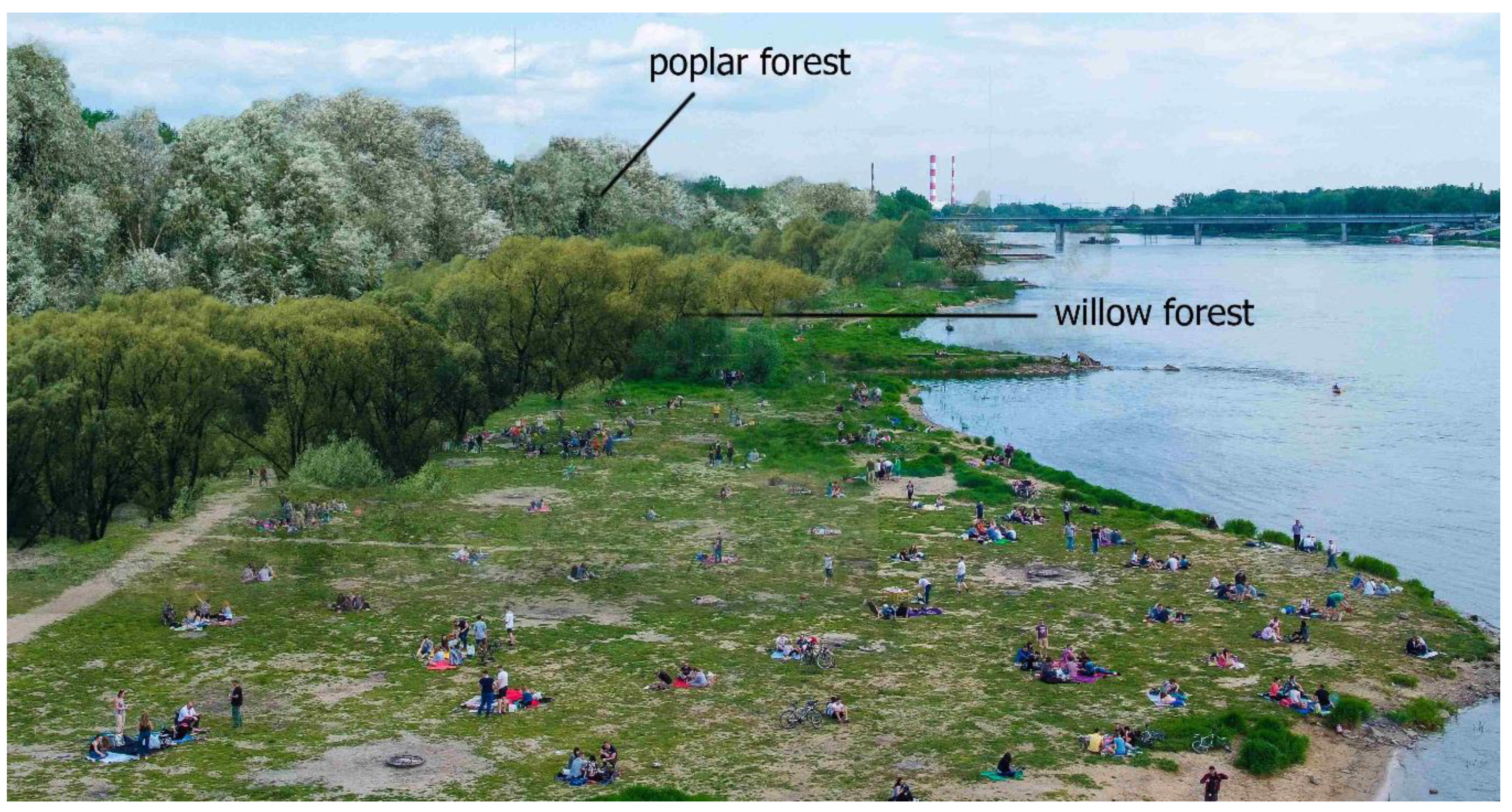 Sustainability 11 05838 g003