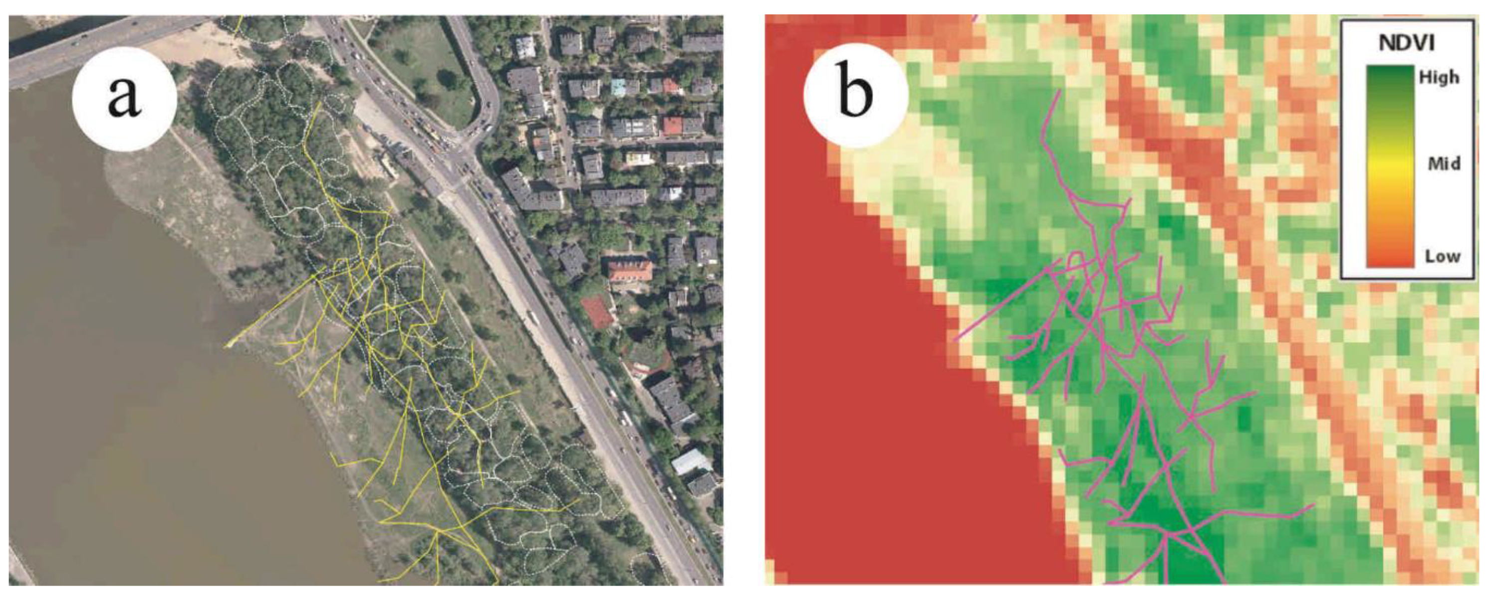 Sustainability 11 05838 g004