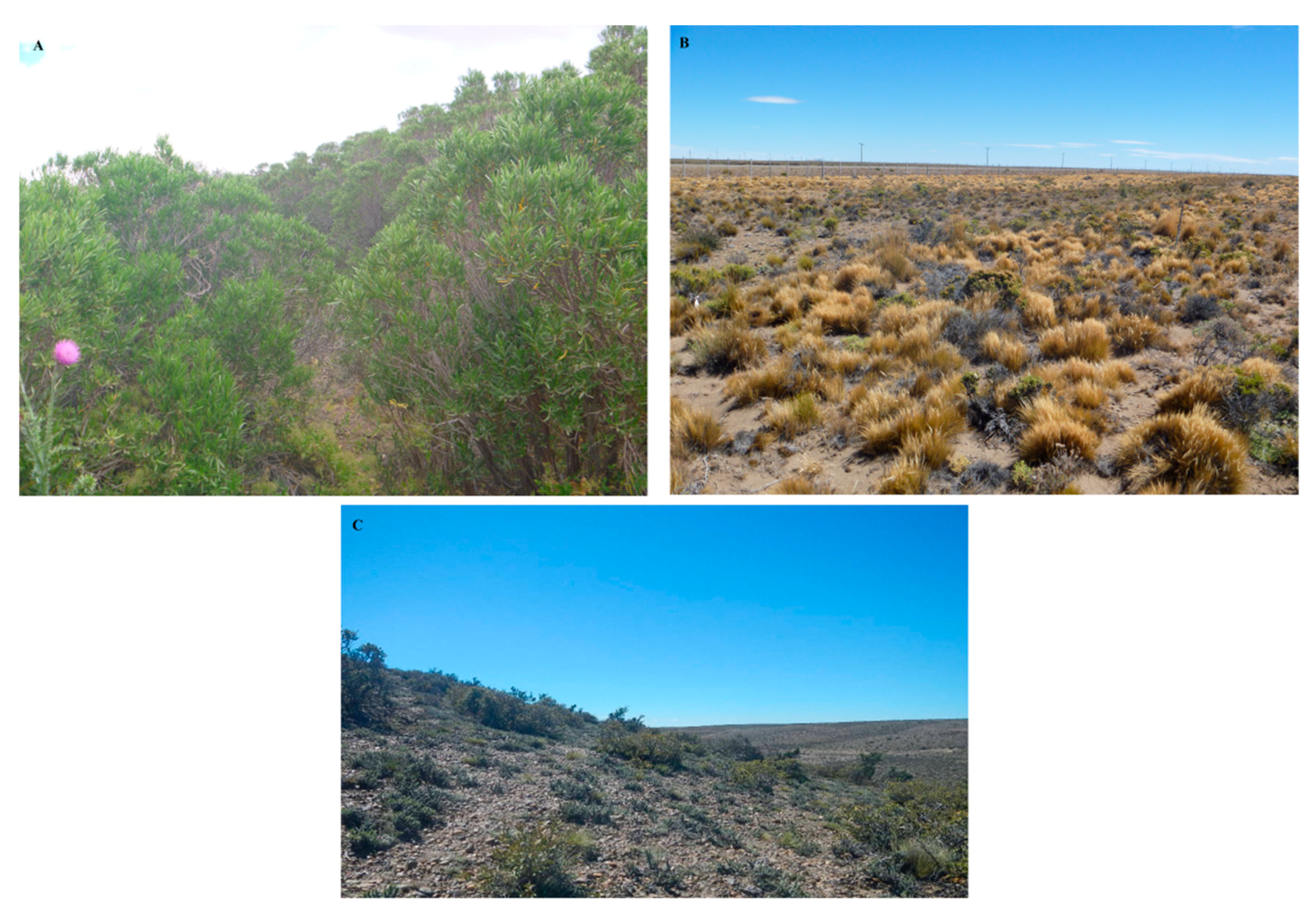 Sustainability 11 05956 g004