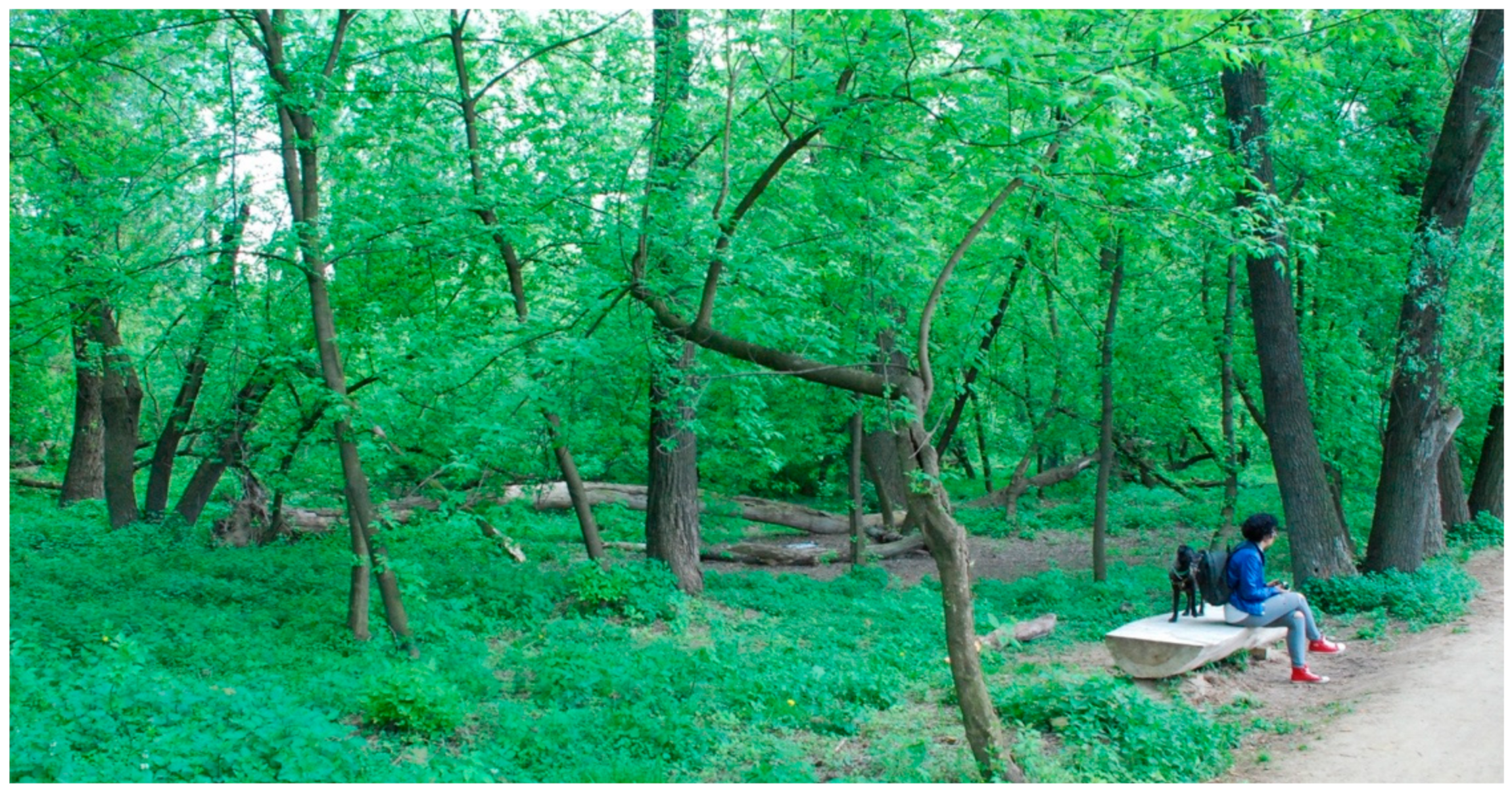 Sustainability 11 05957 g005