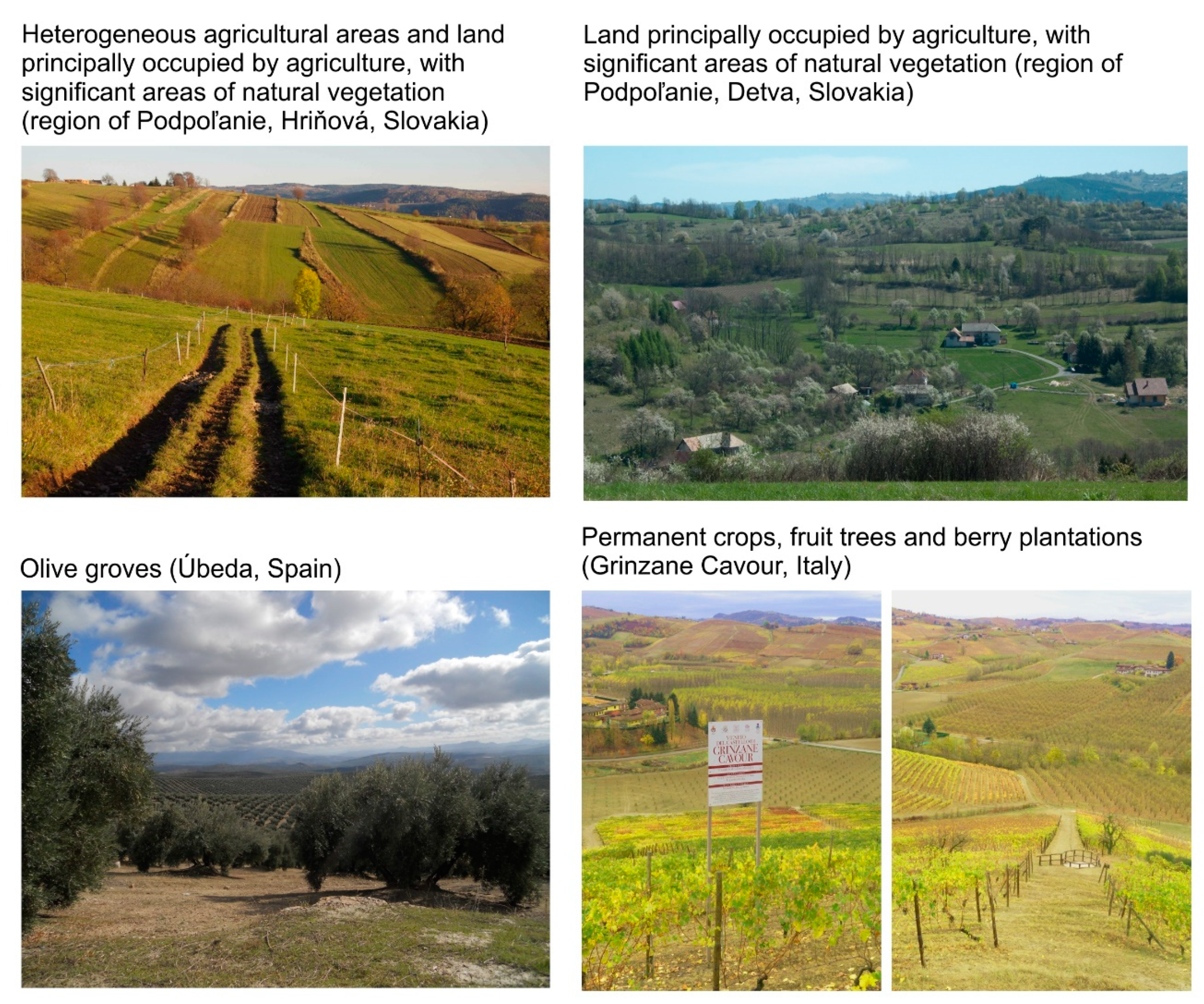 Sustainability 11 05966 g003