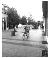 Sustainability 11 05989 i013