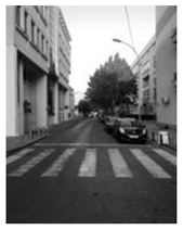 Sustainability 11 05989 i025