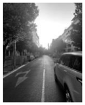 Sustainability 11 05989 i033