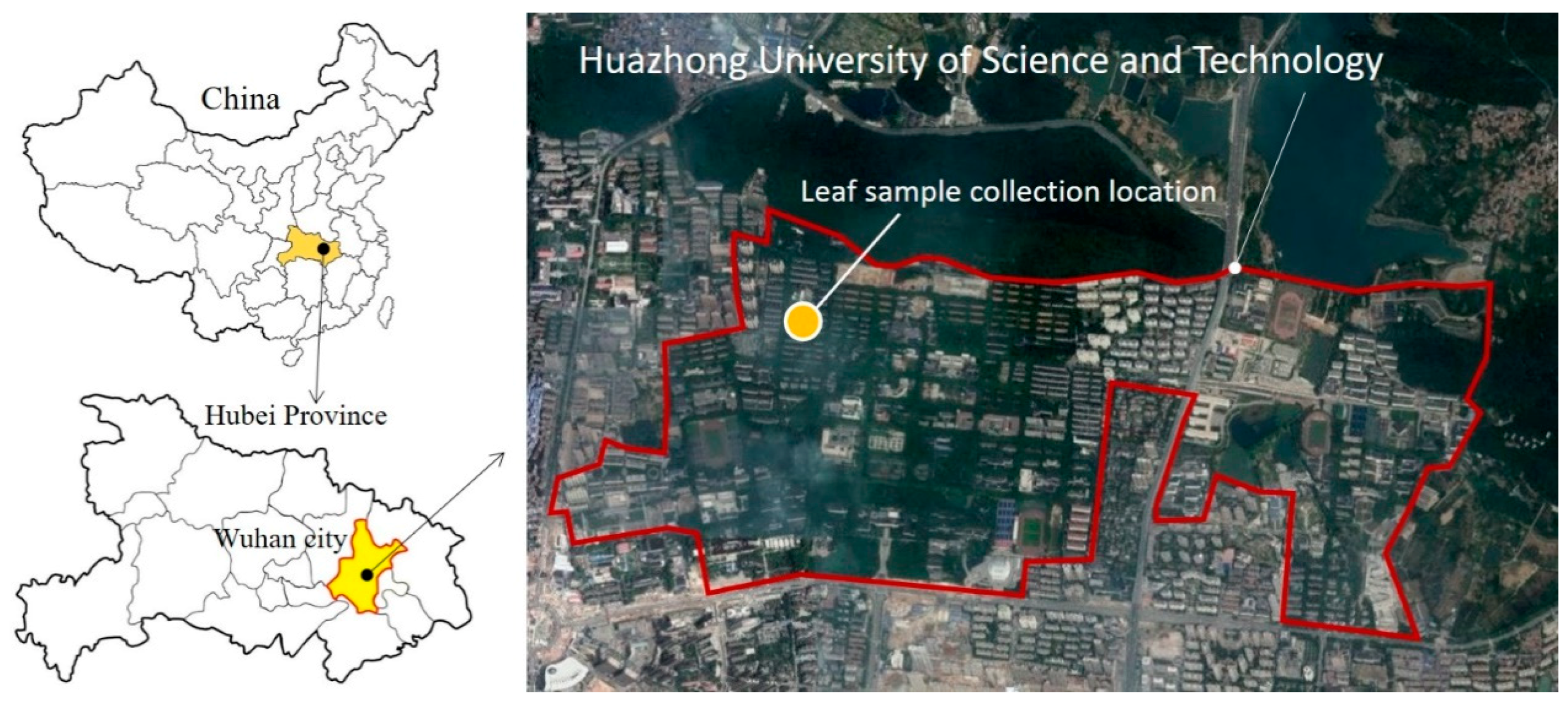 Sustainability 11 05998 g001