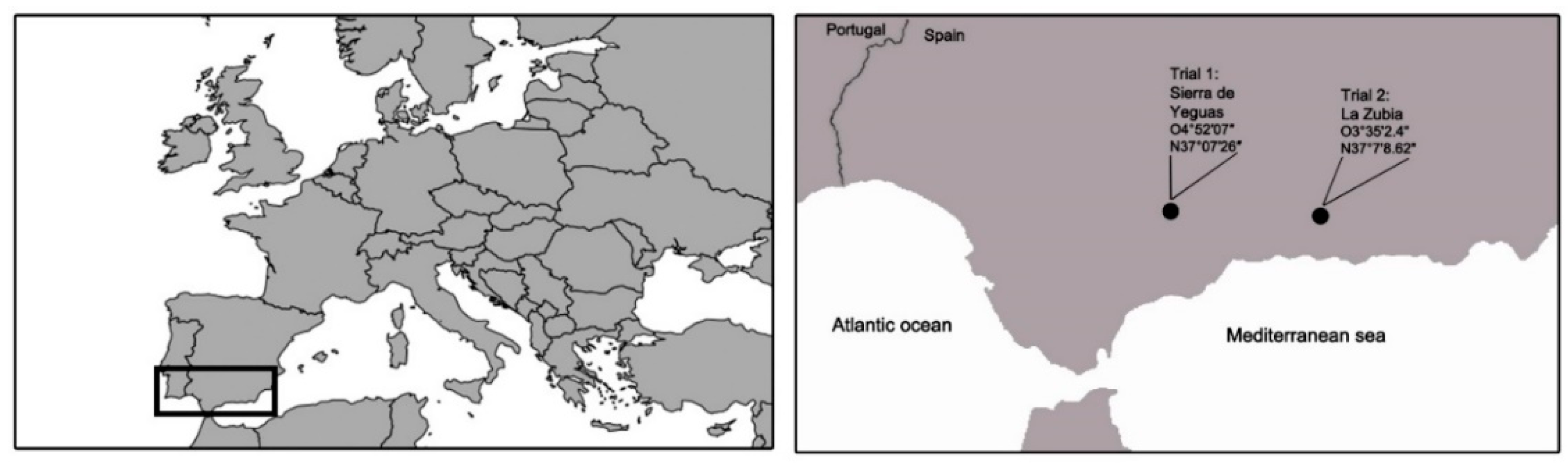 Sustainability 11 06029 g001