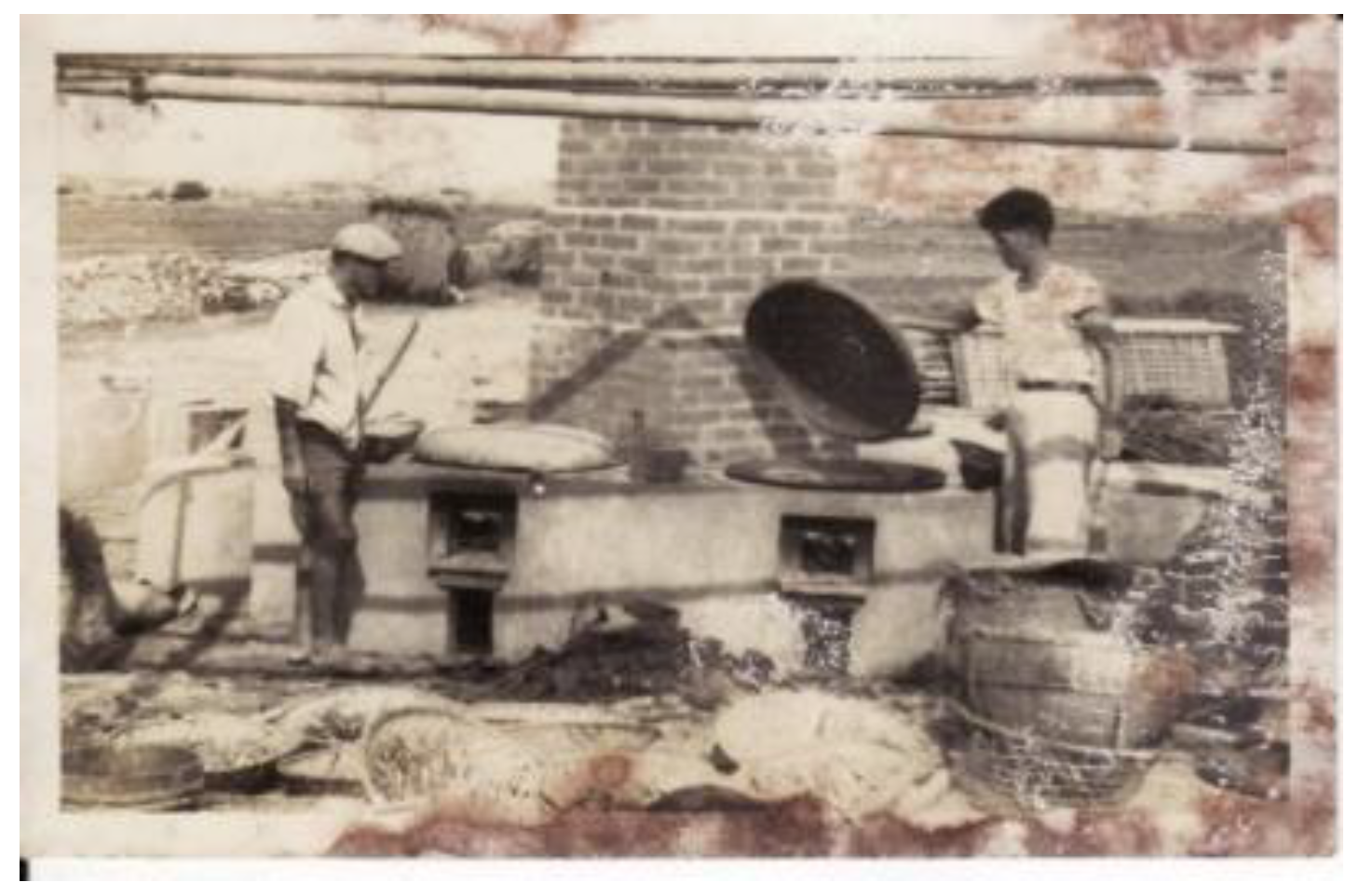 Sustainability 11 06066 g006