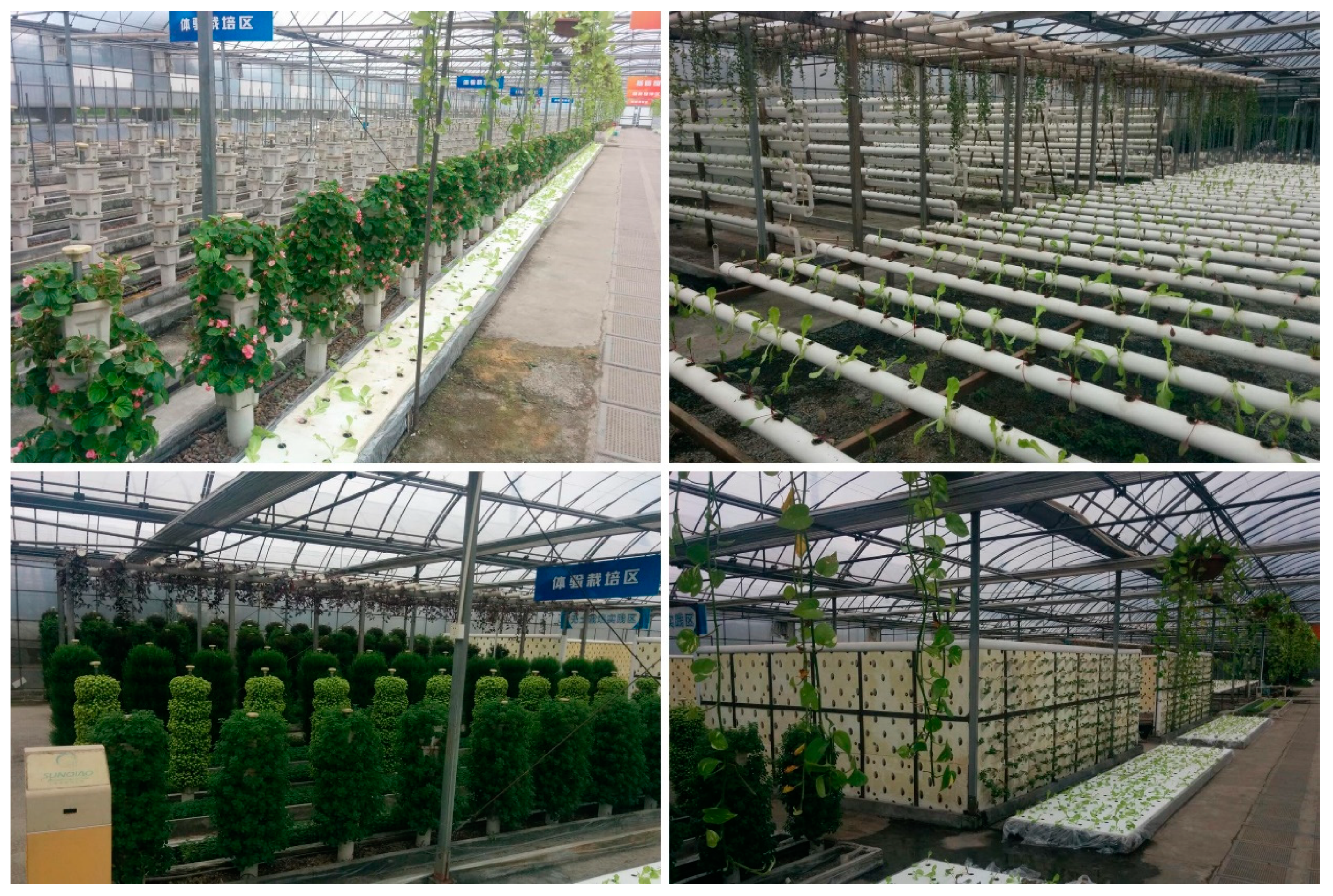 Sustainability 11 06070 g005