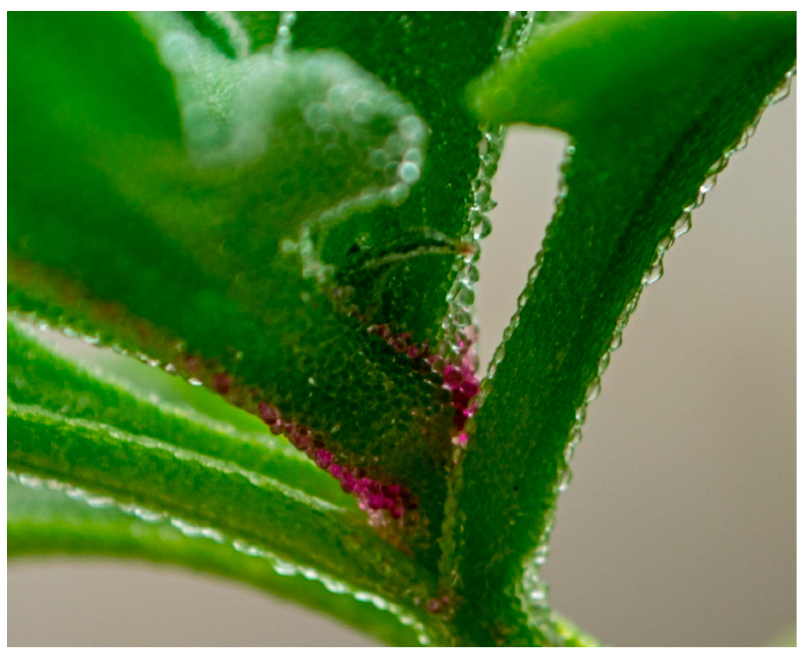 Sustainability 11 06076 g002