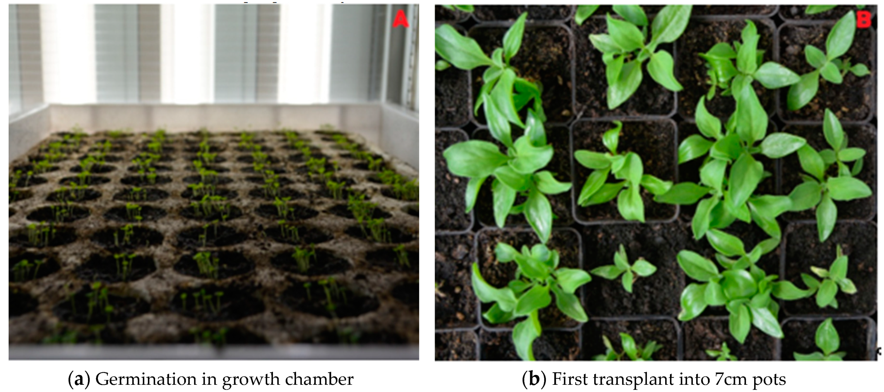 Sustainability 11 06076 g004