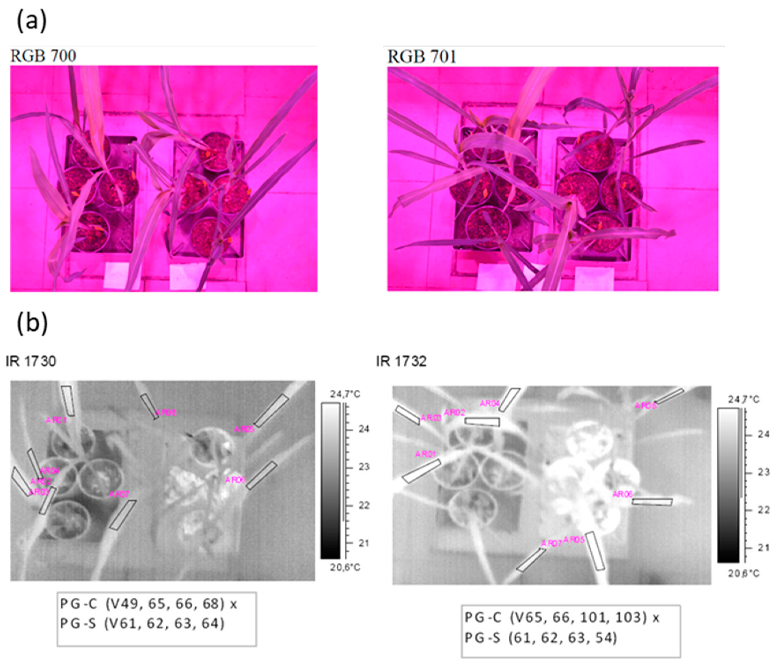 Sustainability 11 06081 g004