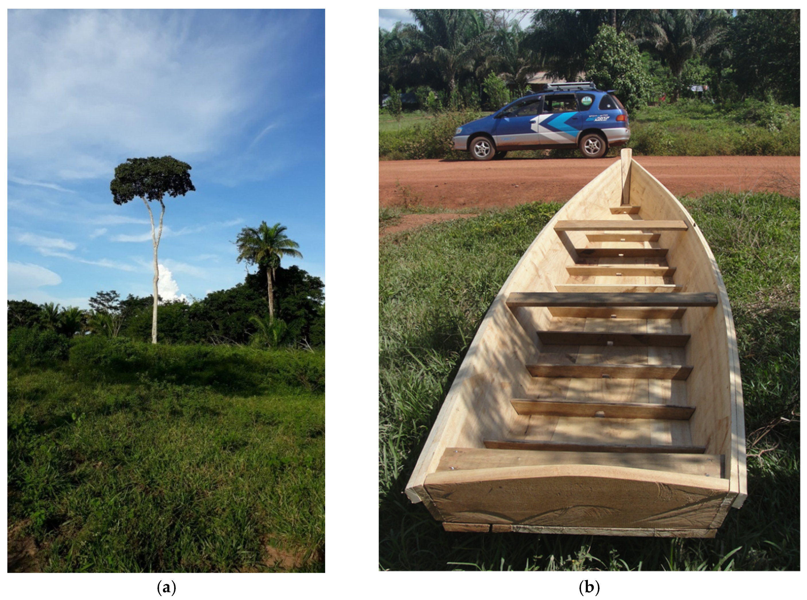 Sustainability 11 06099 g007