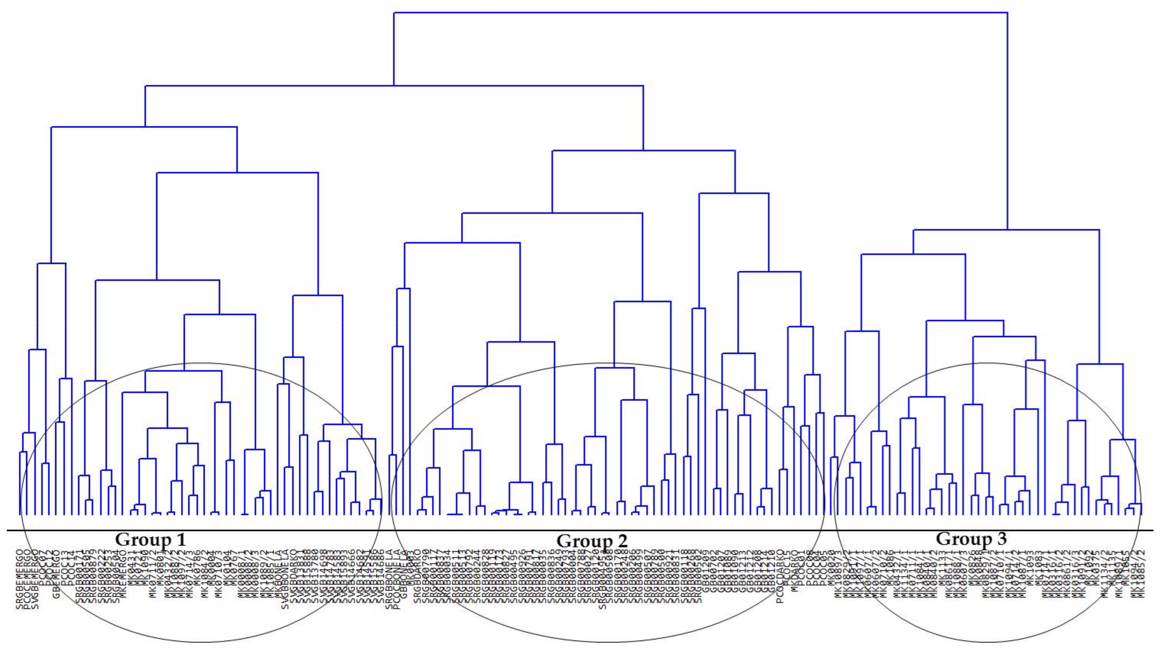 Sustainability 11 06165 g005