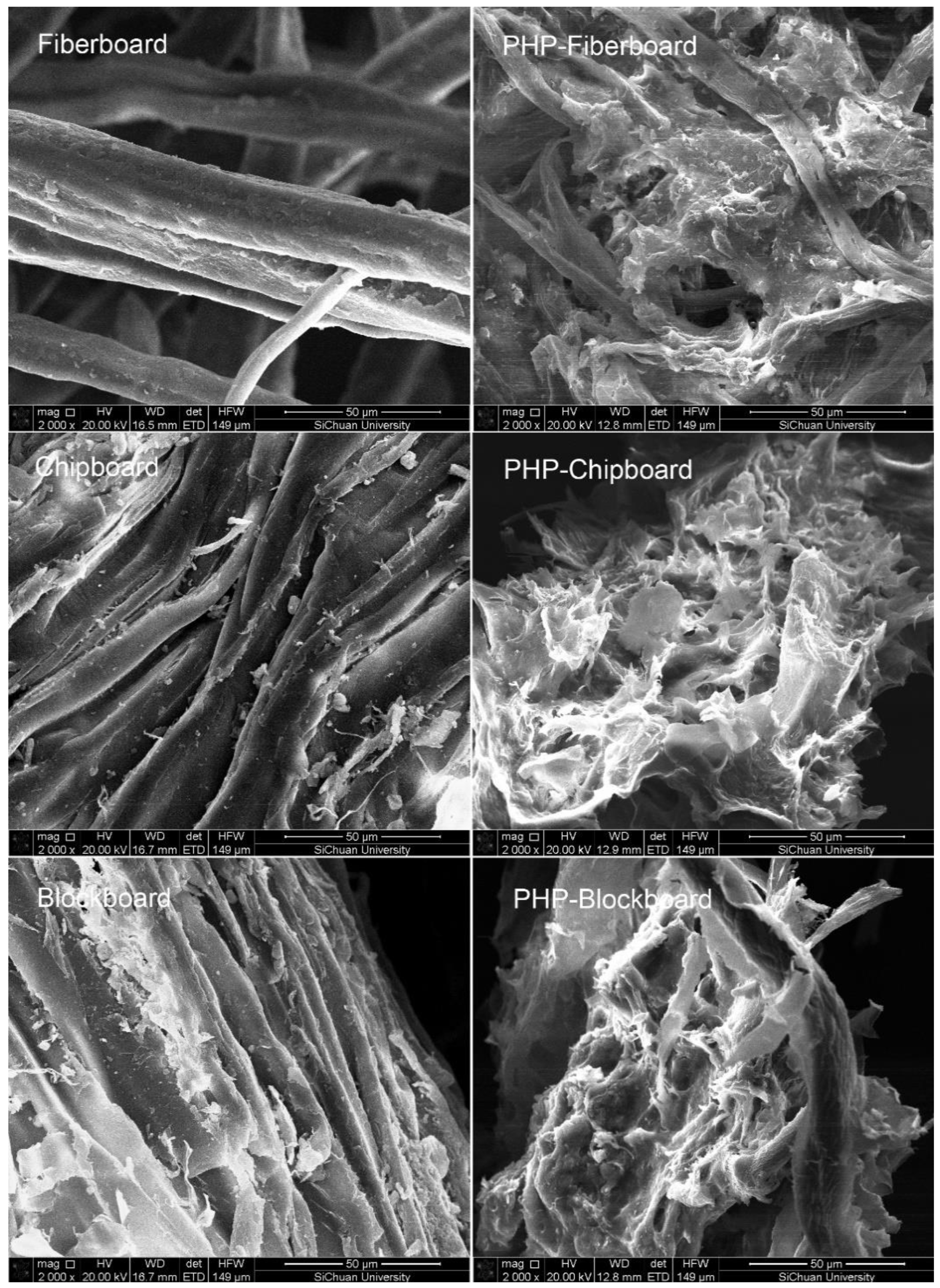 Sustainability 11 06175 g002