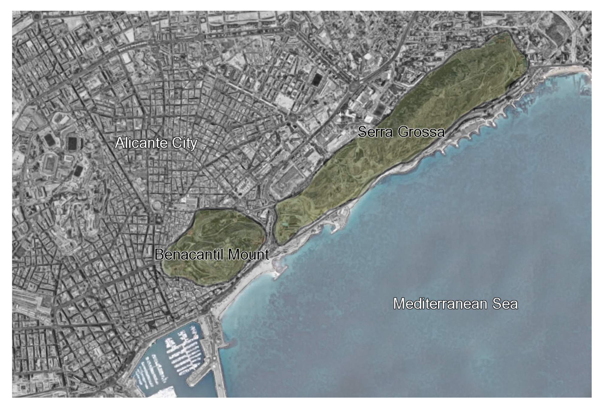 Sustainability 11 06205 g001