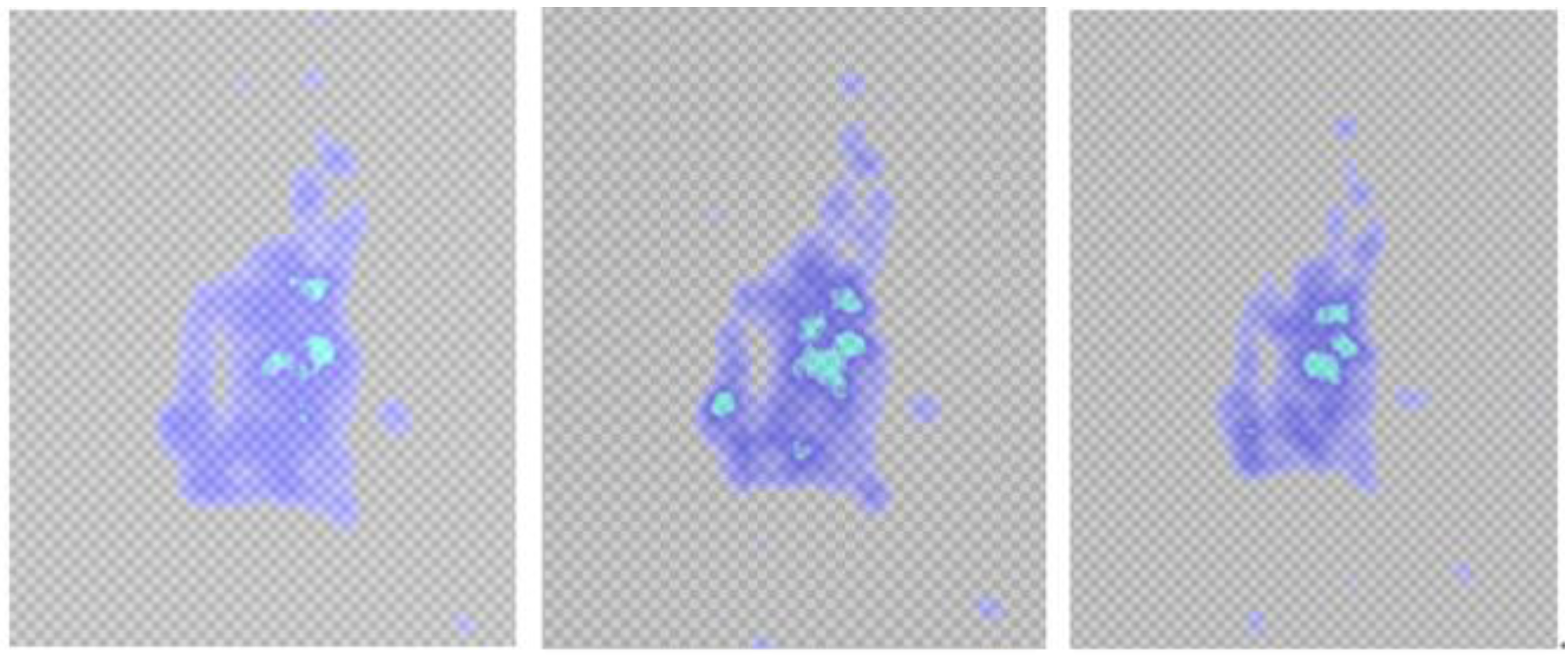 Sustainability 11 06276 g005