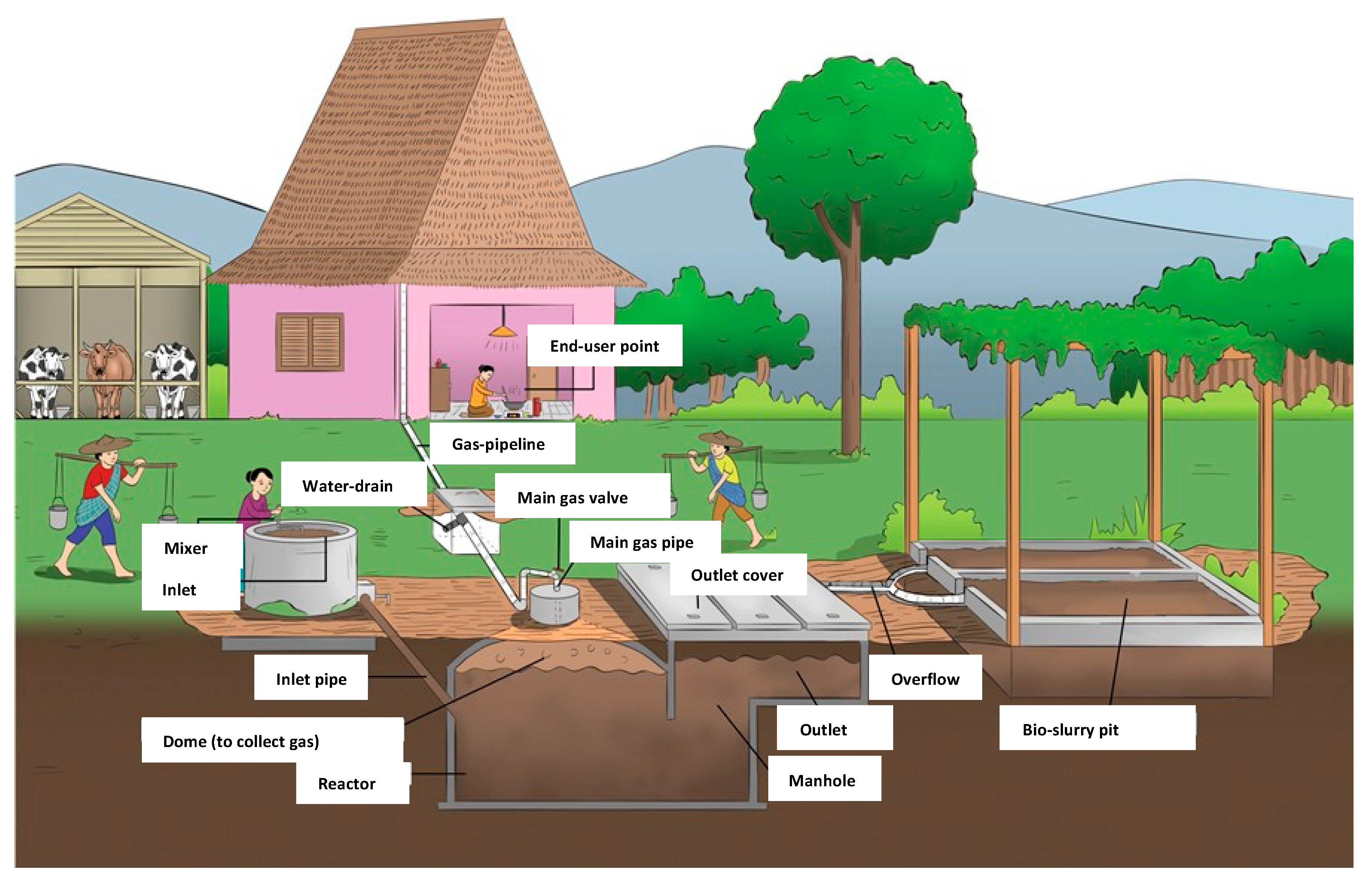 Sustainability 11 06331 g006