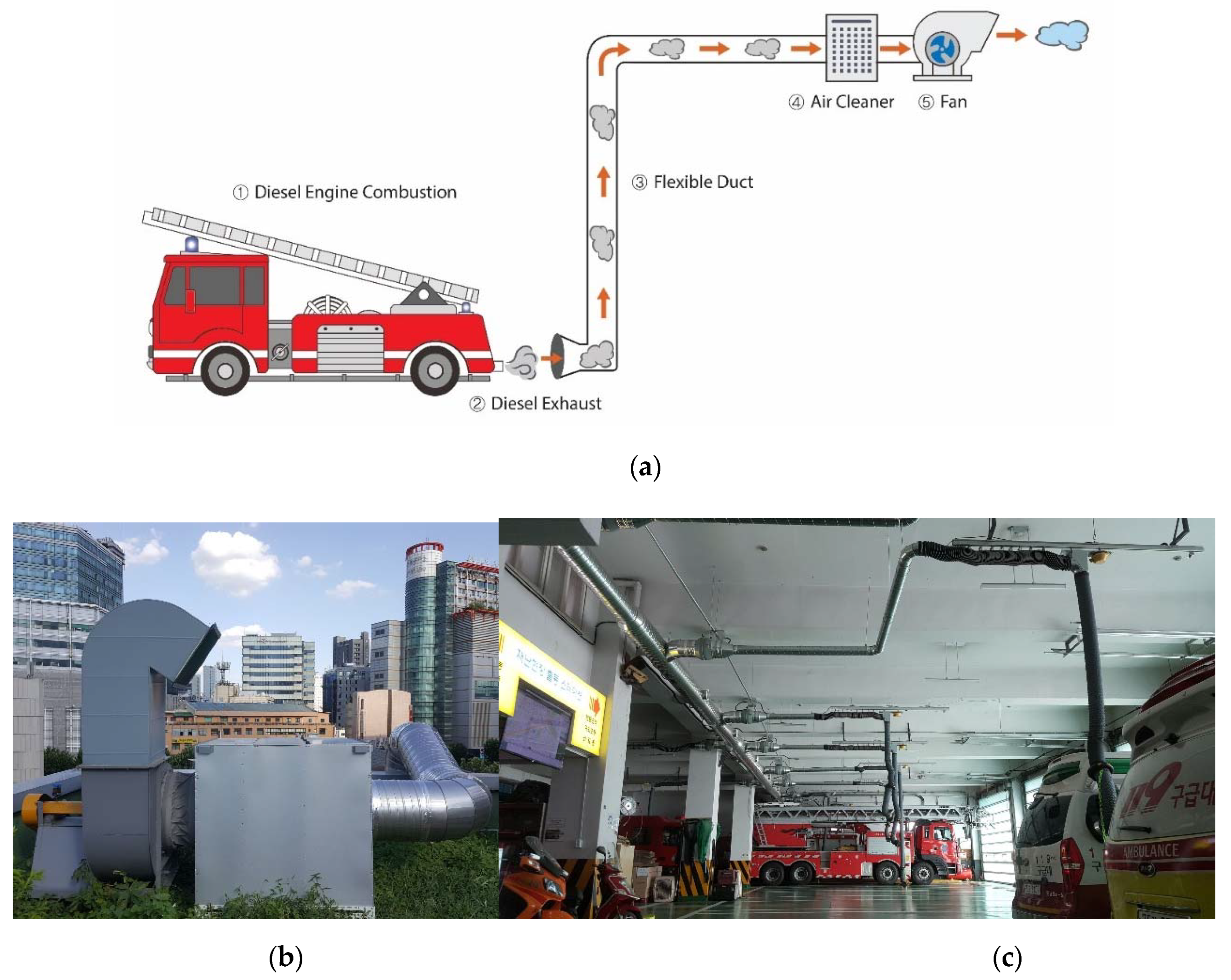 Sustainability 11 06358 g001