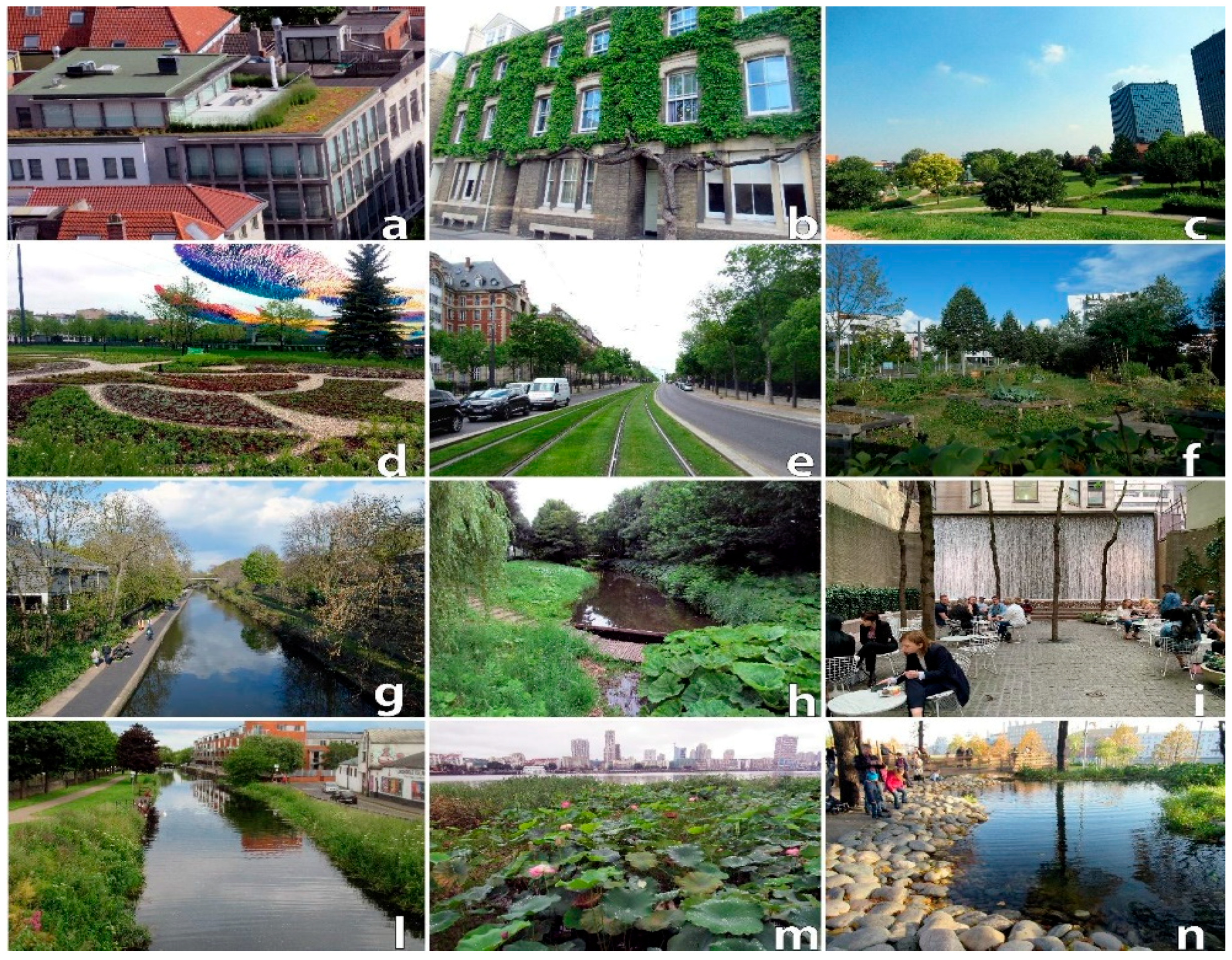 Sustainability 11 06425 g001