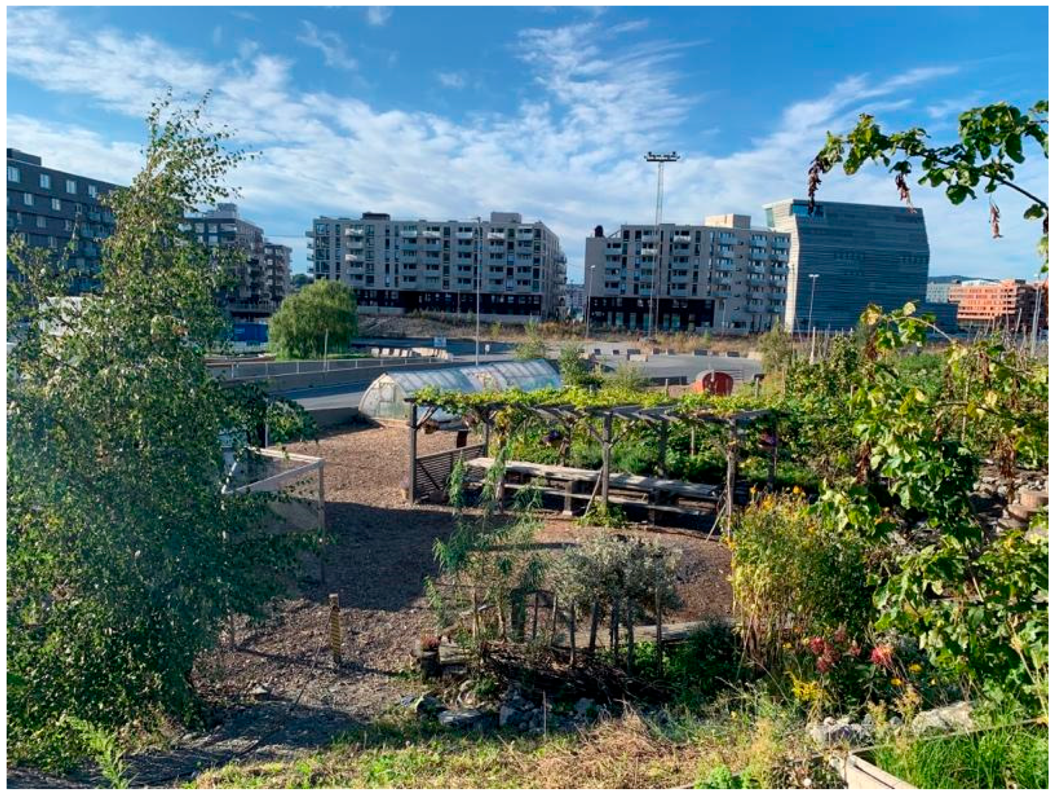 Sustainability 11 06425 g002