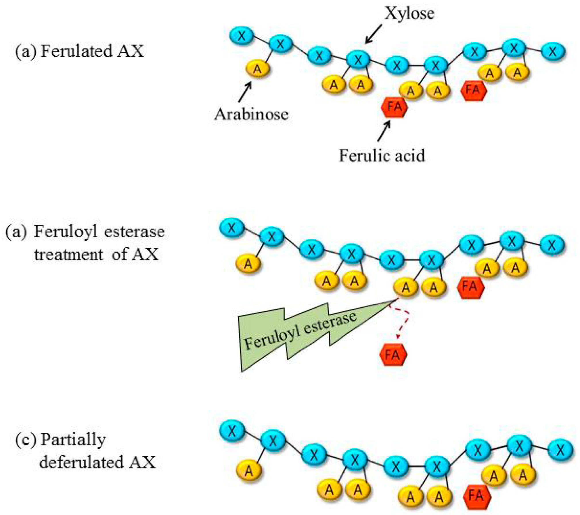 Sustainability 11 06449 g002
