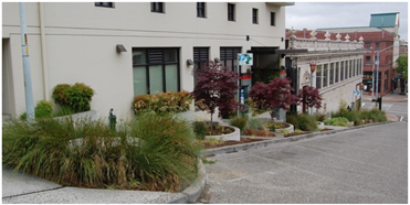 Sustainability 11 06483 i004