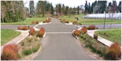 Sustainability 11 06483 i007