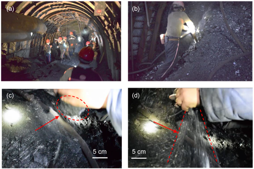 Sustainability 11 06494 g001