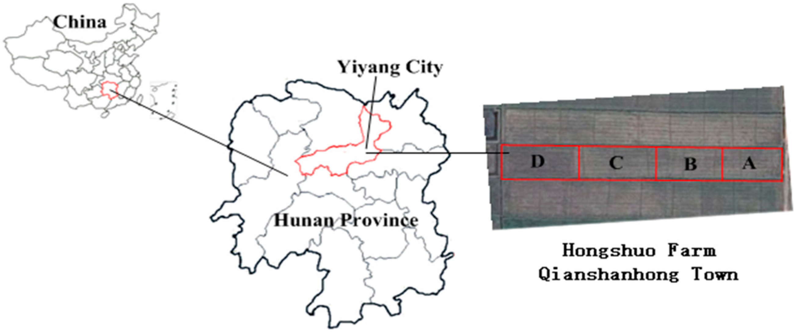 Sustainability 11 06499 g002