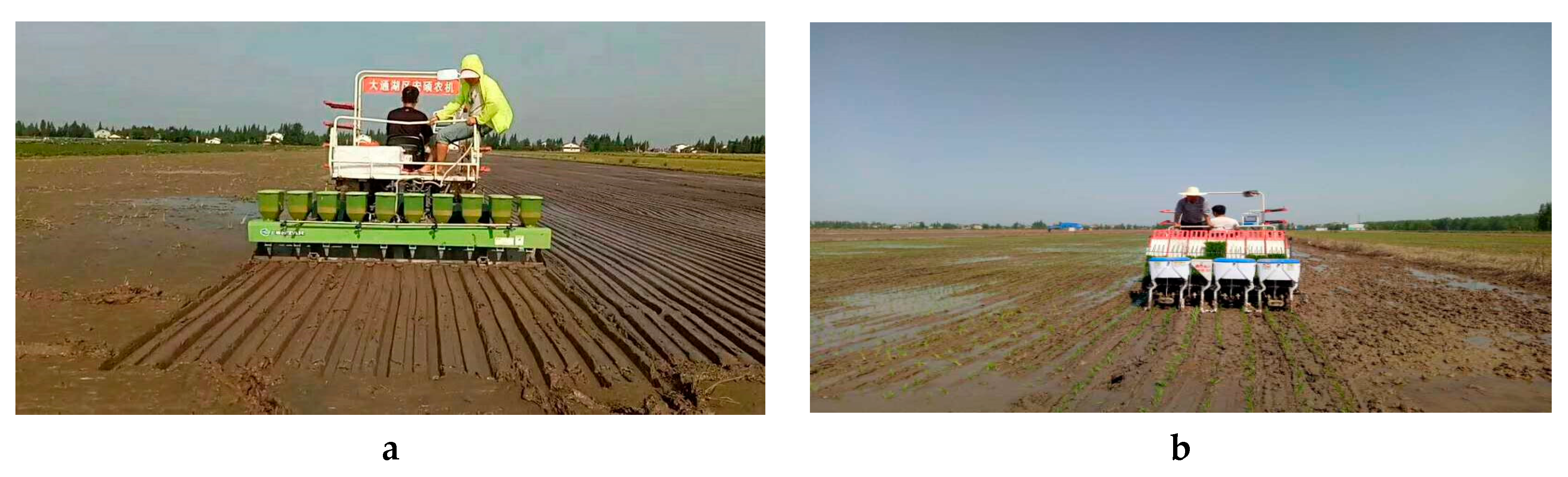 Sustainability 11 06499 g003