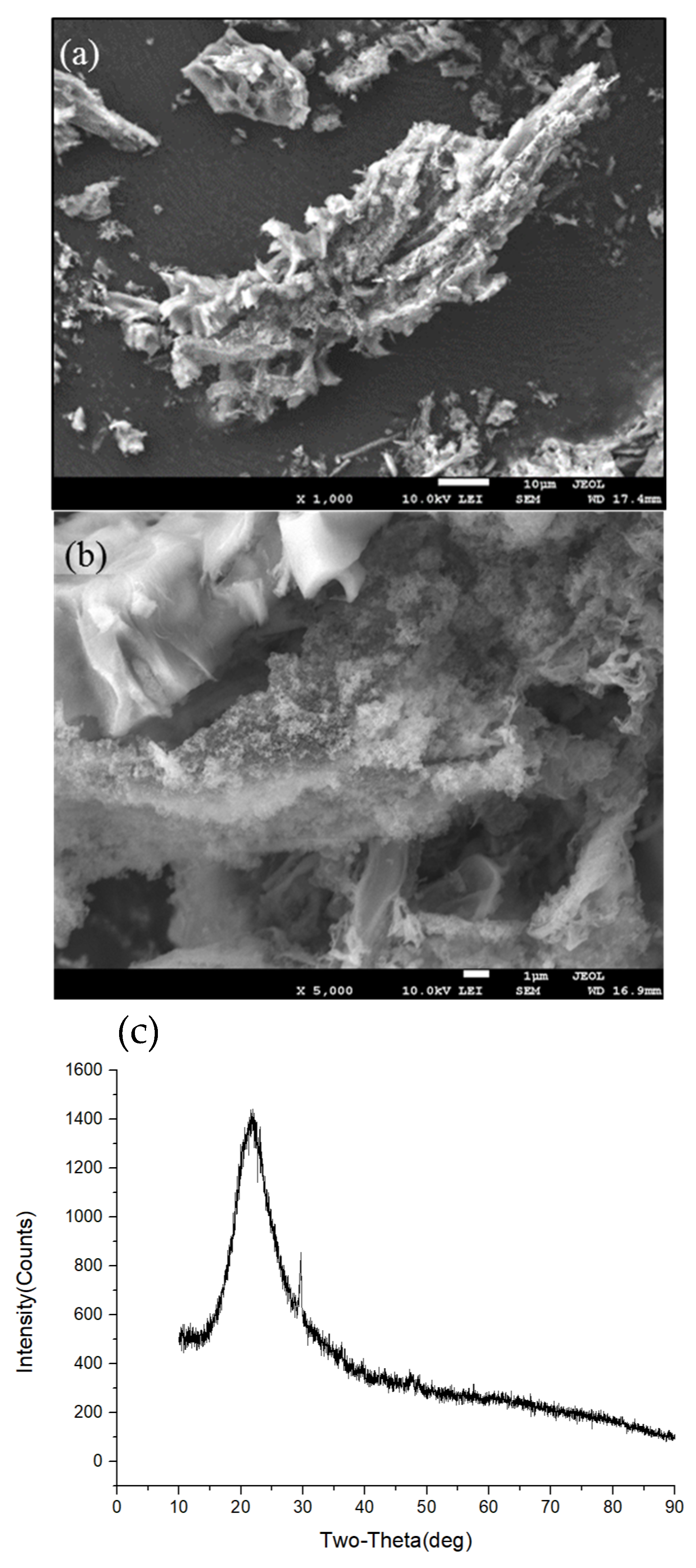 Sustainability 11 06504 g001