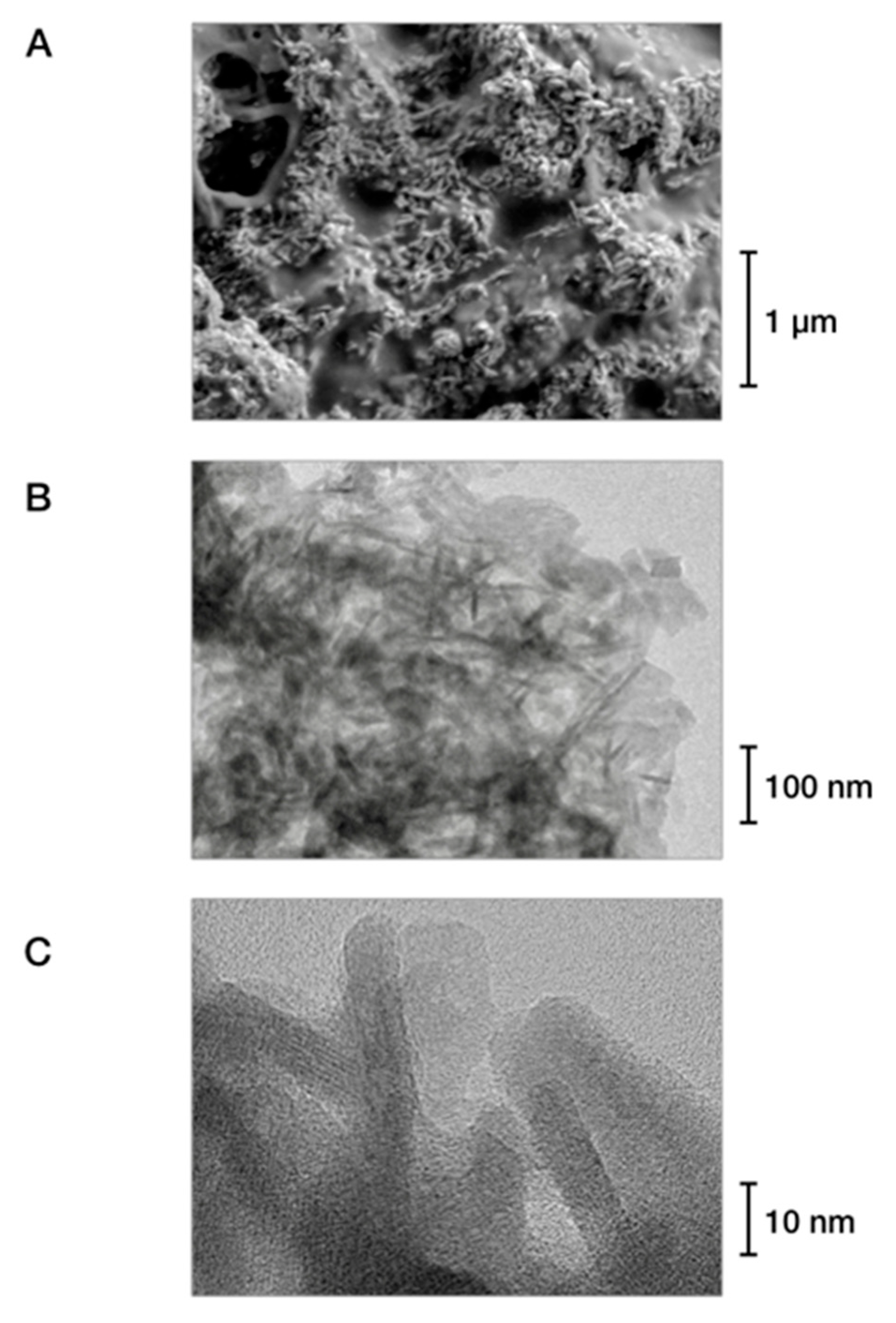 Sustainability 11 06538 g005