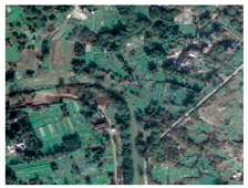 Sustainability 11 06541 i013 Sustainability 11 06541 i013