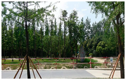 Sustainability 11 06541 i015 Sustainability 11 06541 i015