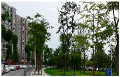 Sustainability 11 06541 i021 Sustainability 11 06541 i021