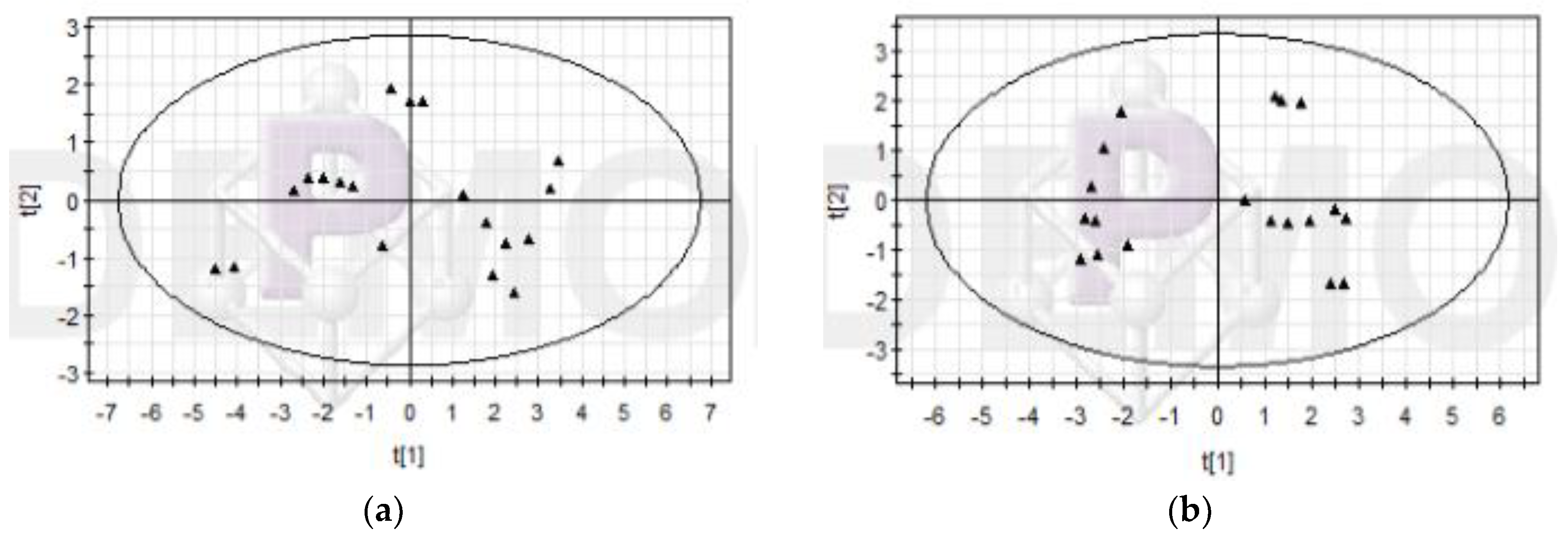 Sustainability 11 06563 g007