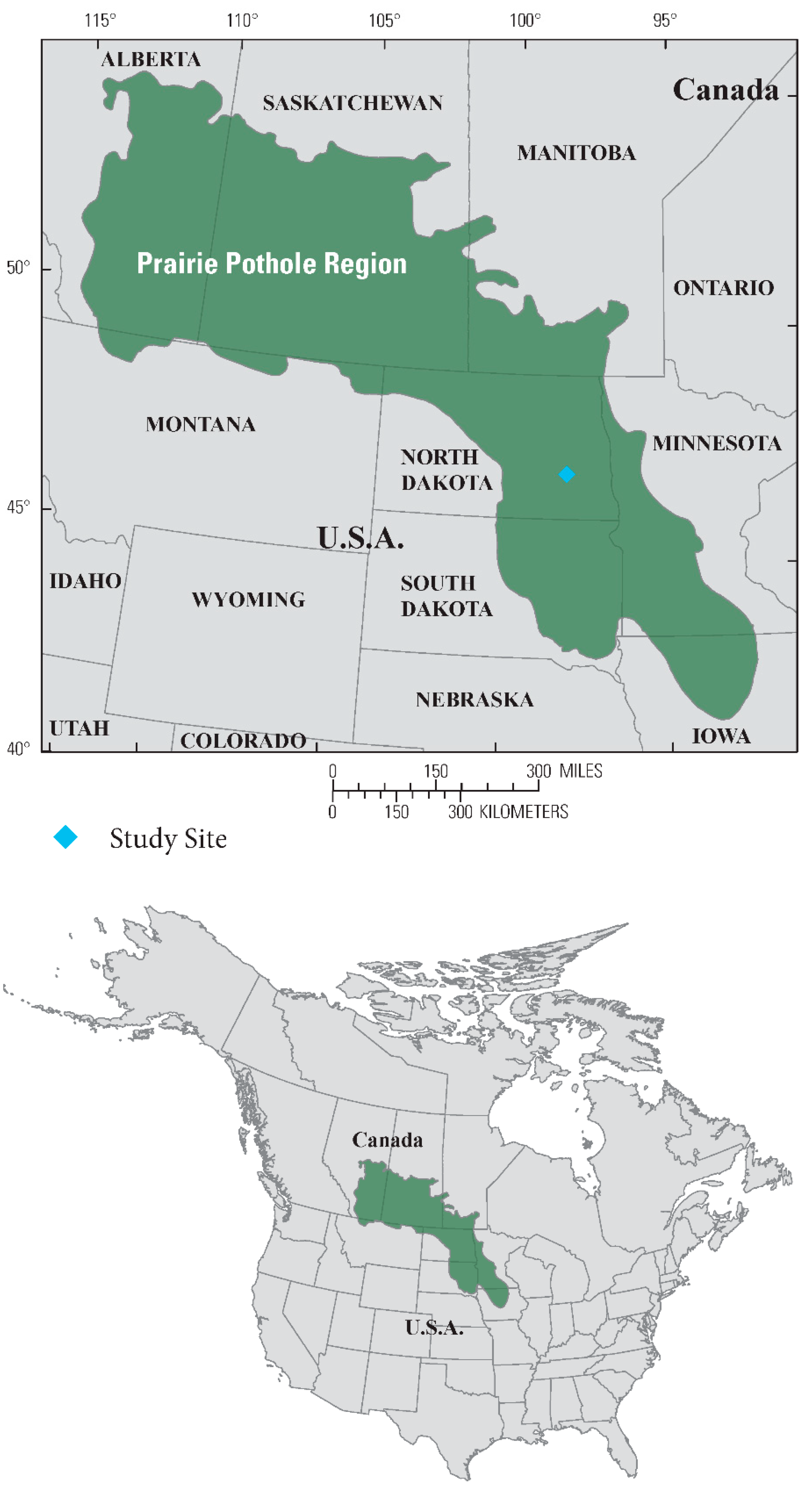 Sustainability 11 06581 g001