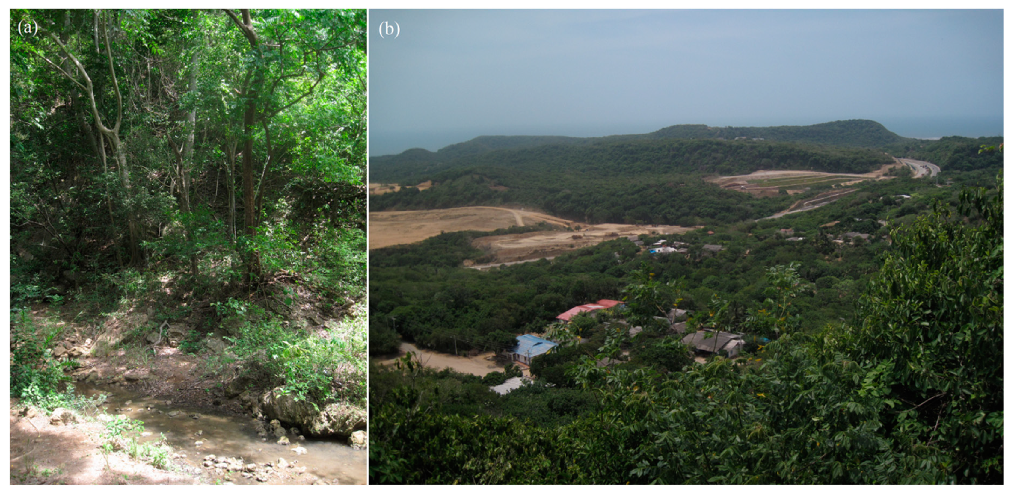 Sustainability 11 06729 g003 Sustainability 11 06729 g003