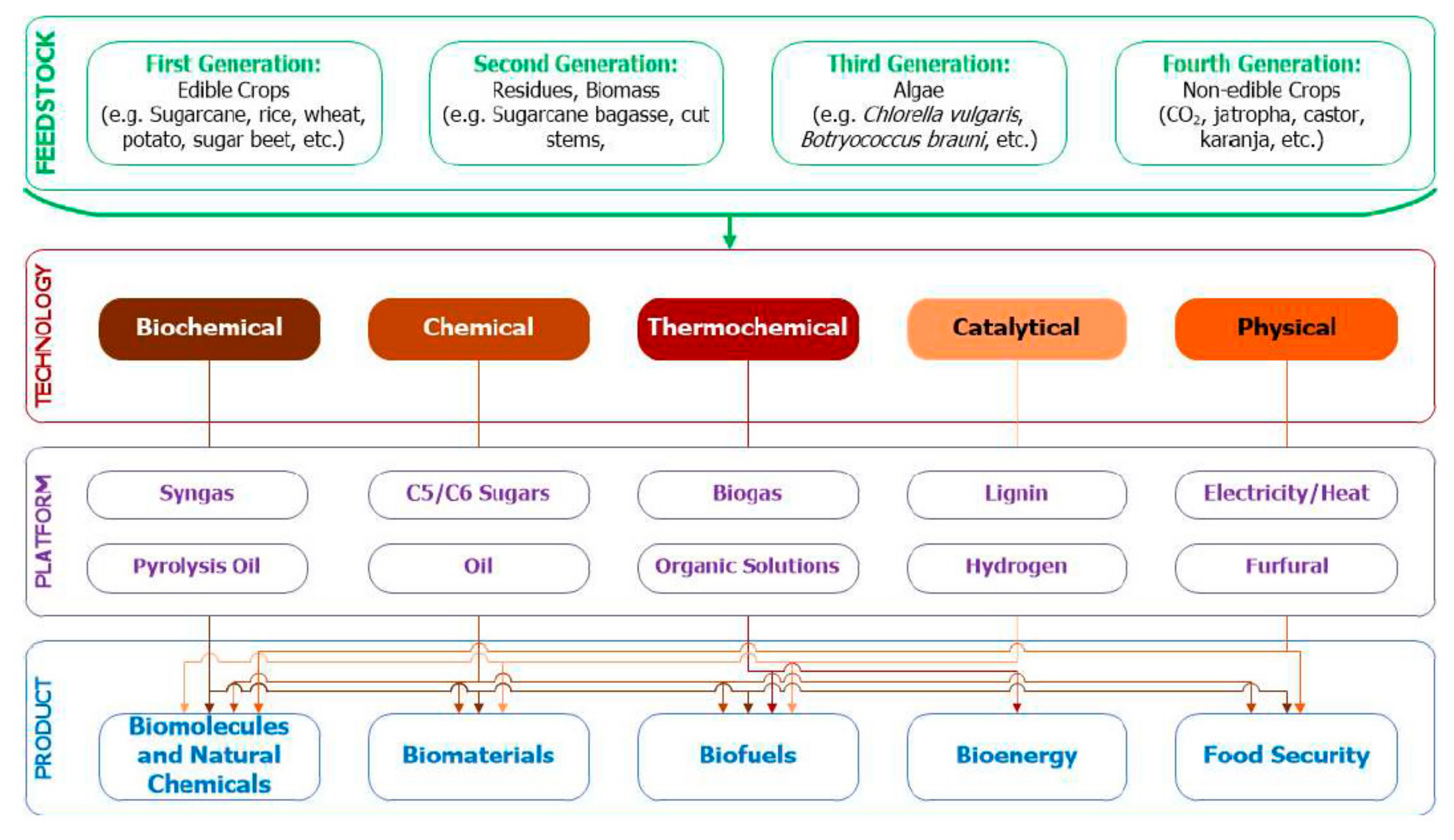 Sustainability 11 06765 g002