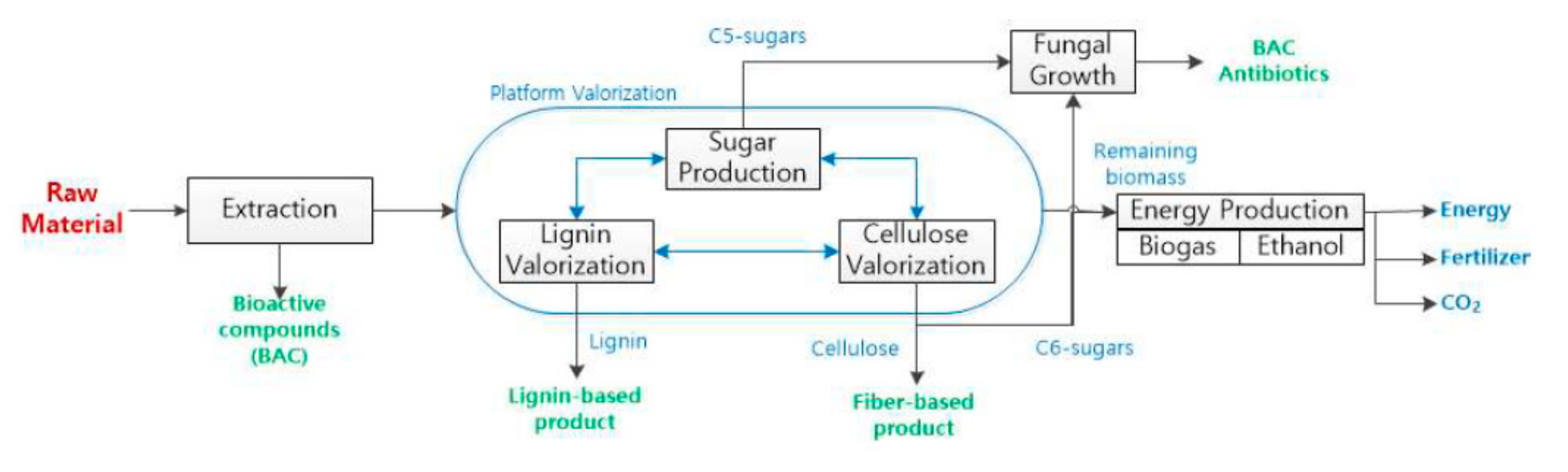 Sustainability 11 06765 g004