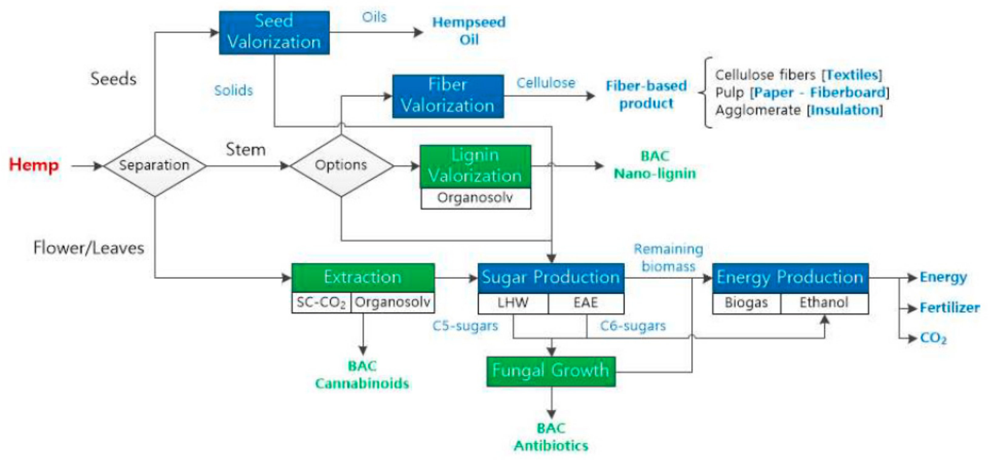 Sustainability 11 06765 g006