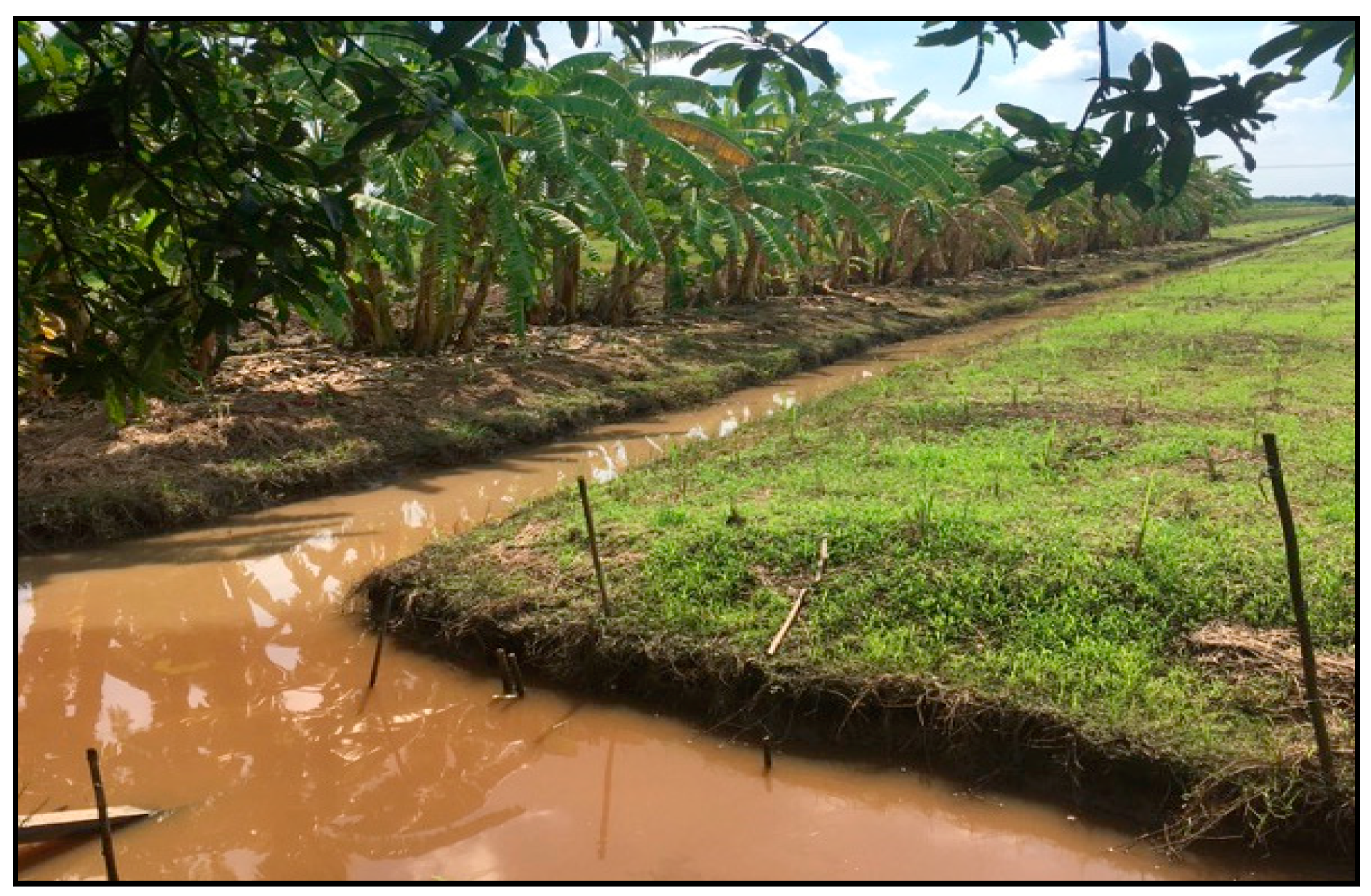 Sustainability 11 06788 g003