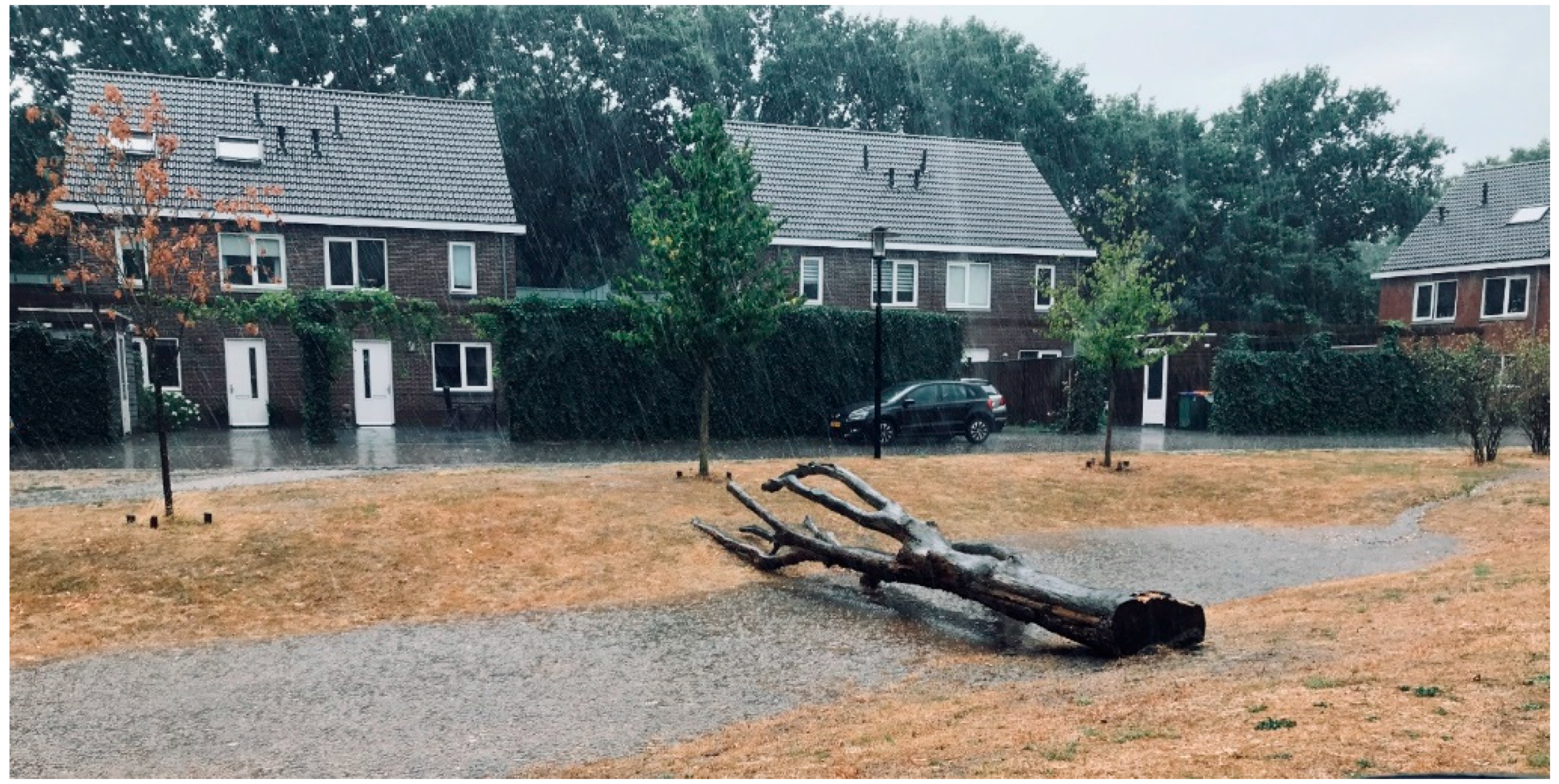 Sustainability 11 06792 g006