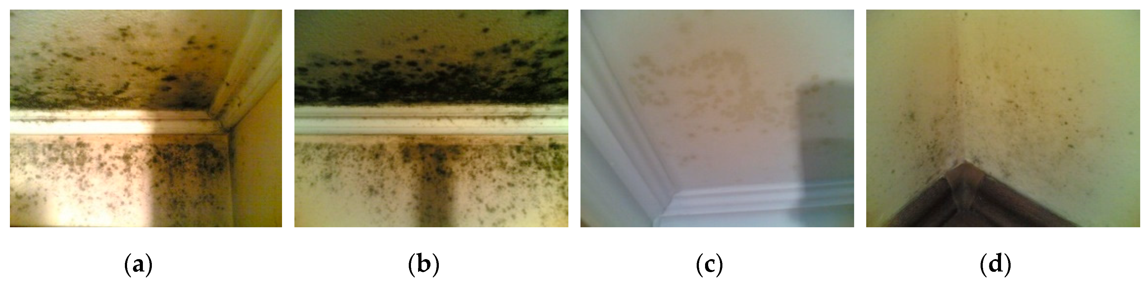 Sustainability 11 06824 g006 Sustainability 11 06824 g006